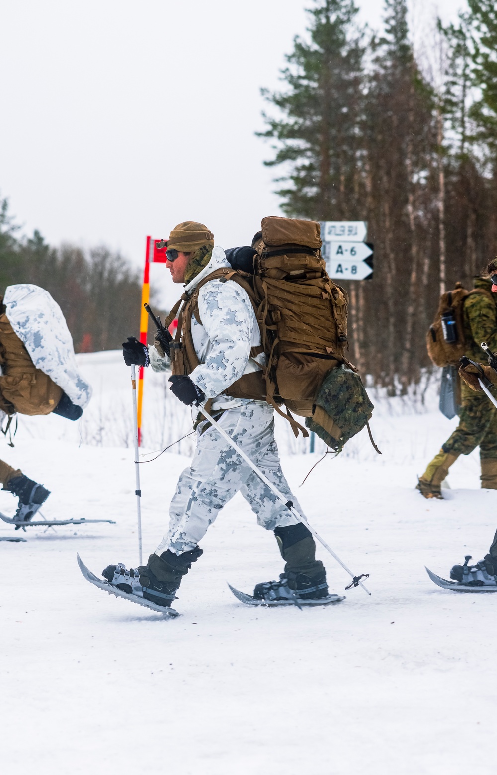 U.S. Marines with 2d LAAD and 1st Battalion, 2nd Marines hike in Norway in preparation for Exercise Nordic Response 24