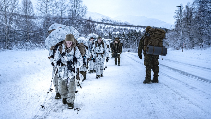 U.S. Marines, Norwegian Army Collaborate on Operations, Tactics Ahead of NATO's Exercise Nordic Response 24