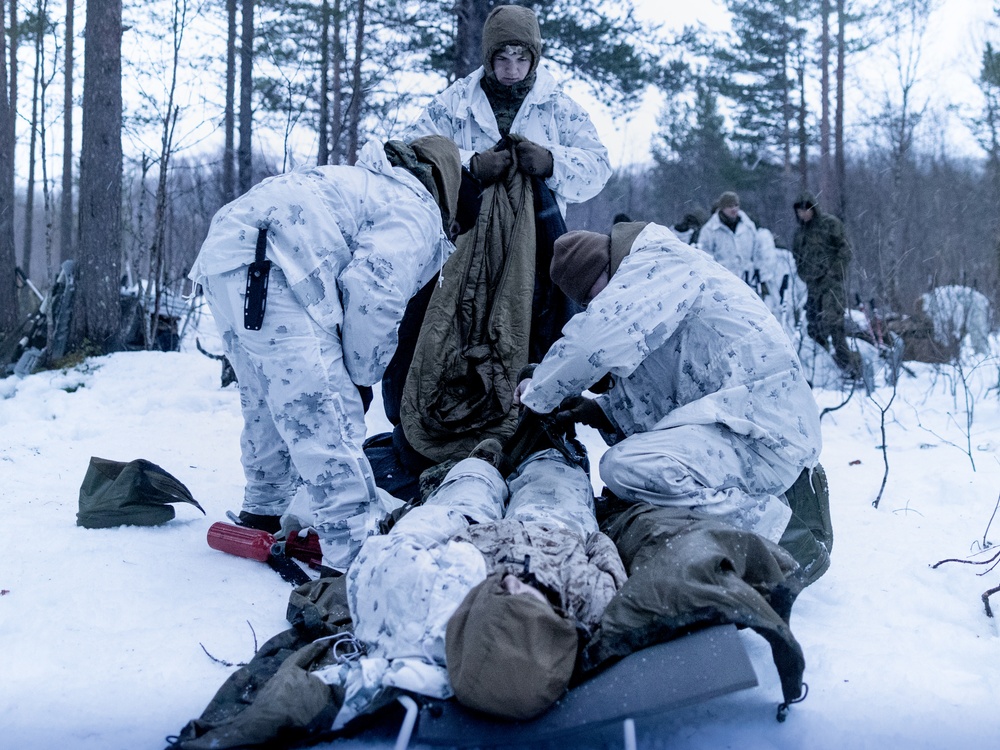 U.S. Marines with 1st Battalion, 2nd Marine Regiment Conduct Cold Weather Training