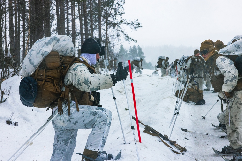 U.S. Marines with 2d LAAD and 1st Battalion, 2nd Marines hike in Norway in preparation for Exercise Nordic Response 24