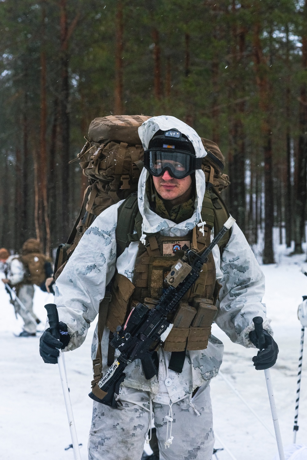 U.S. Marines with 2d LAAD and 1st Battalion, 2nd Marines hike in Norway in preparation for Exercise Nordic Response 24