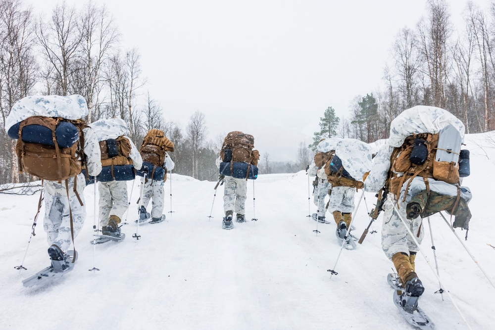 U.S. Marines with 2d LAAD and 1st Battalion, 2nd Marines hike in Norway in preparation for Exercise Nordic Response 24