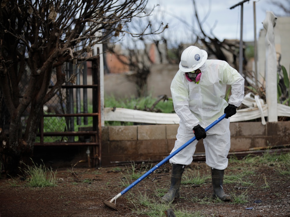 Clearing debris, keeping dust down