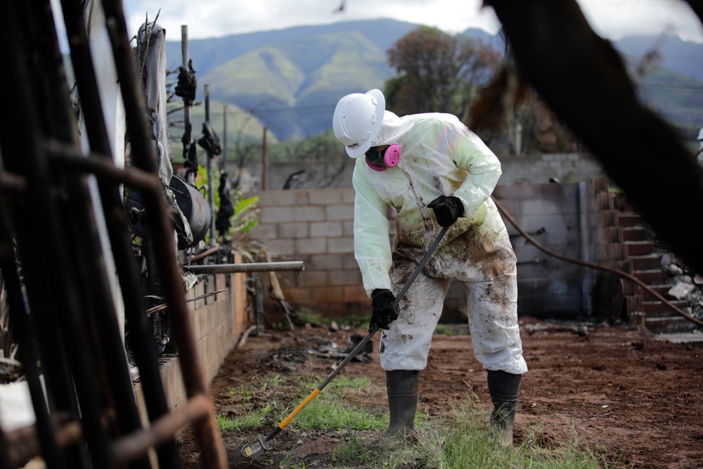 Clearing debris, keeping dust down