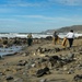 Vandenberg Space Force Base Beach Clean-up Day 2024