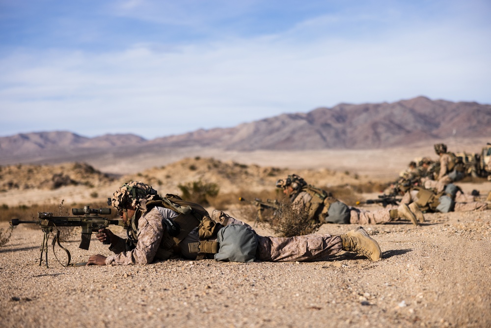 3rd Bn., 4th Marines participates in National Training Center 24-03