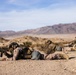 3rd Bn., 4th Marines participates in National Training Center 24-03