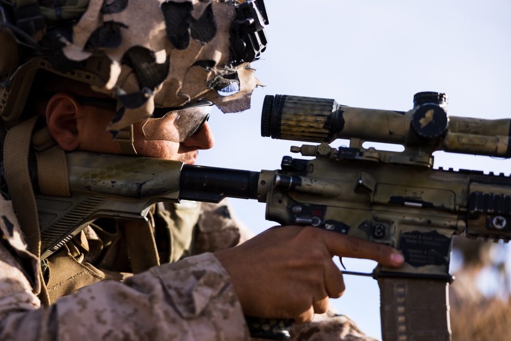 3rd Bn., 4th Marines participates in National Training Center 24-03
