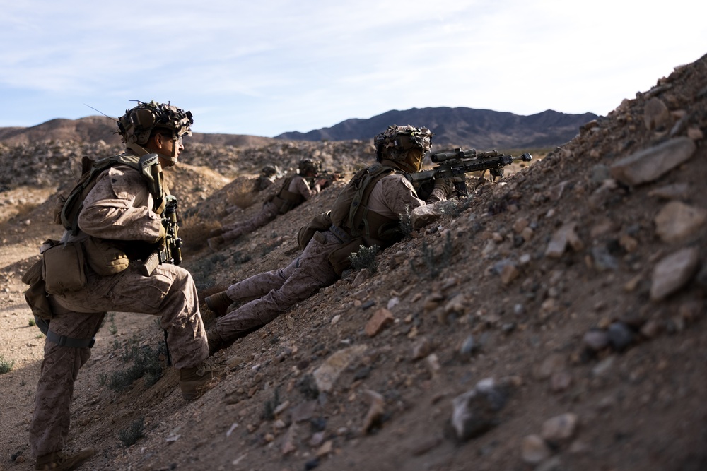 3rd Bn., 4th Marines participates in National Training Center 24-03