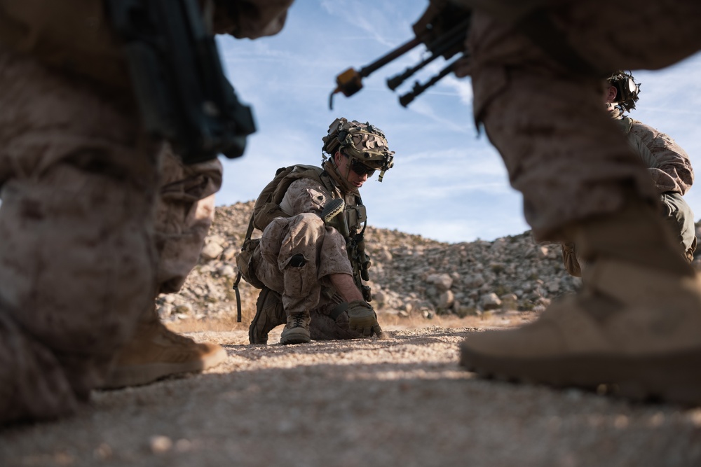 3rd Bn., 4th Marines participates in National Training Center 24-03