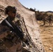 3rd Bn., 4th Marines participates in National Training Center 24-03