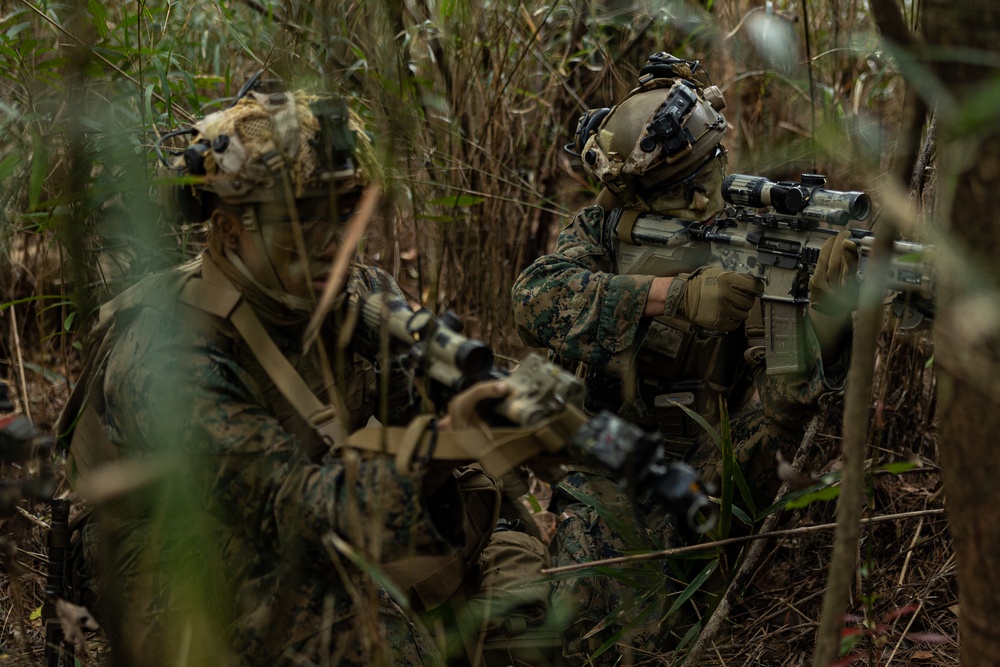 3d Marine Division Squad Competition: 2/7 Offensive Operations Evaluation