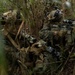 3d Marine Division Squad Competition: 2/7 Offensive Operations Evaluation