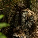 3d Marine Division Squad Competition: 2/7 Offensive Operations Evaluation