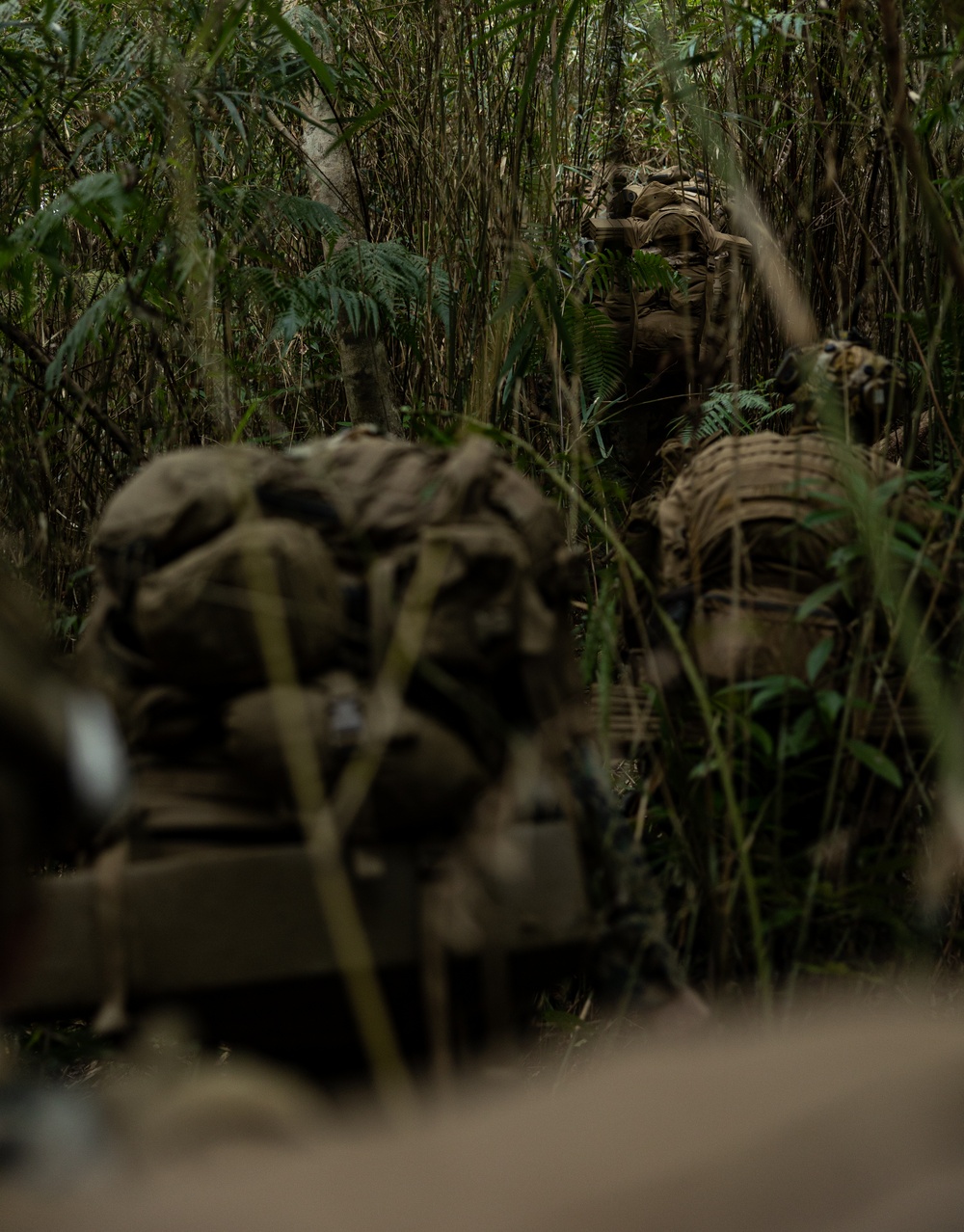 3d Marine Division Squad Competition: 2/7 Offensive Operations Evaluation