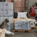 NAS Oceana Military Working Dogs