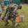 3d EOD Team of the Year Competition
