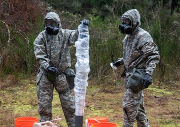 3d EOD Team of the Year Competition