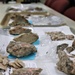 Fort McCoy Archaeology: Artifacts from post’s piece of Driftless Area find home at Mississippi Valley Archaeology Center