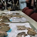 Fort McCoy Archaeology: Artifacts from post’s piece of Driftless Area find home at Mississippi Valley Archaeology Center