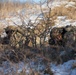 Breacher Company Squad Live Fire Exercise 2024