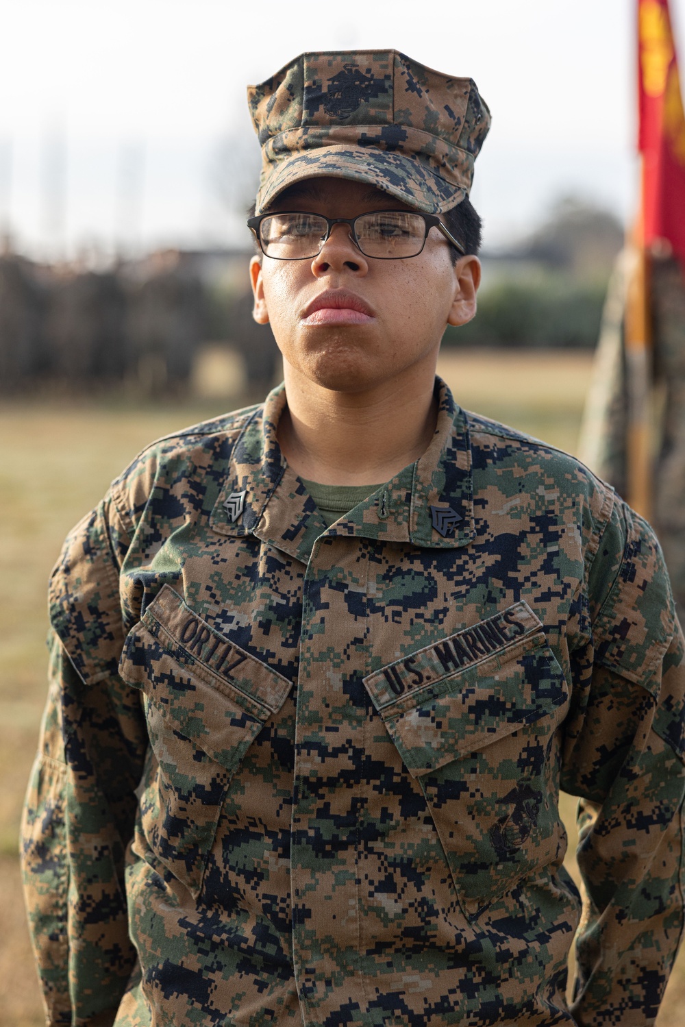 Marine Forces Reserve conducts battalion formation