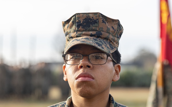 Marine Forces Reserve conducts battalion formation