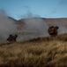3d LCT Fires Insert