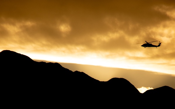 Joint MMT Training at LZ Westfield