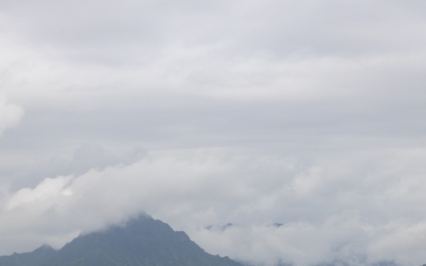 Joint MMT Training at LZ Westfield