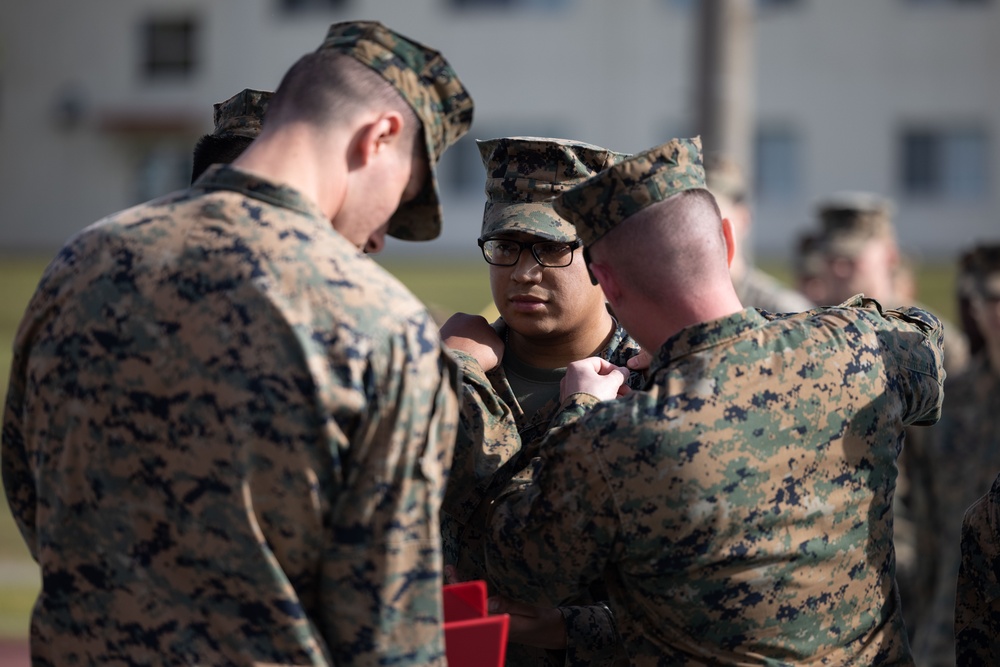 3d Marine Division: February NCO Promotions