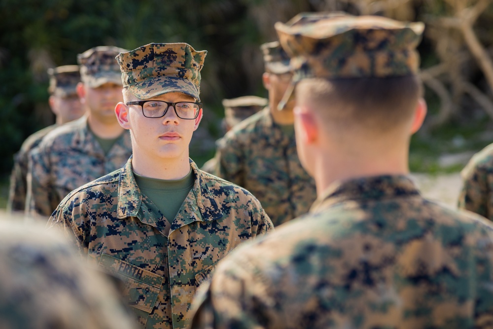 3d Marine Division: February NCO Promotions