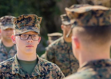 3d Marine Division: February NCO Promotions