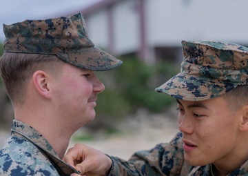 3d Marine Division: February NCO Promotions