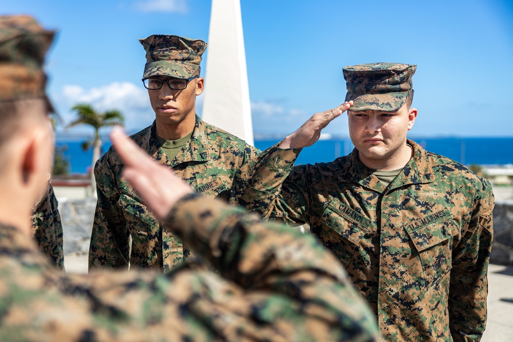 3d Marine Division: February NCO Promotions