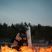 Through the Fire and Flames
