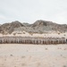 TTECG Marines commemorate the start of SLTE 2-24 with a group photo