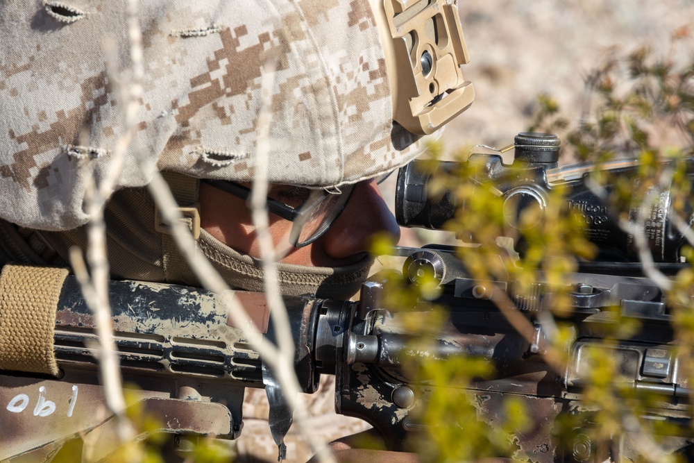 Marines with 3rd Light Armored Reconnaissance Battalion conduct a platoon attack while participating in SLTE 2-24