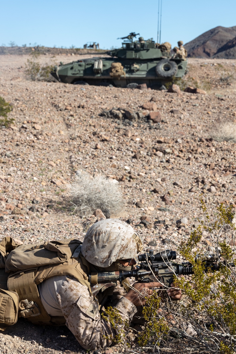 Marines with 3rd Light Armored Reconnaissance Battalion conduct a platoon attack while participating in SLTE 2-24