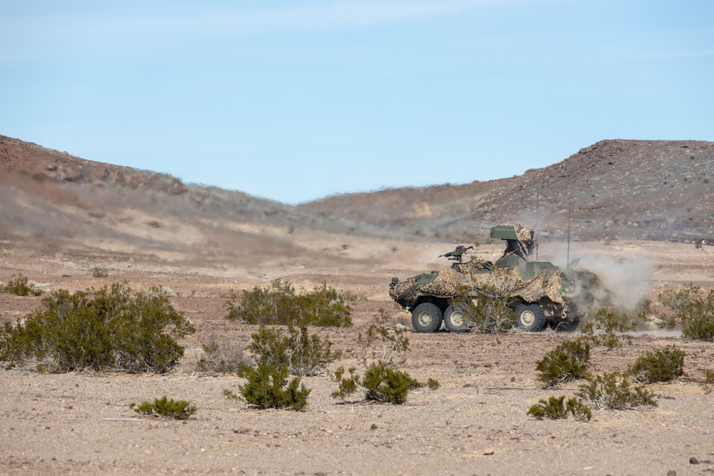 Marines with 3rd Light Armored Reconnaissance Battalion conduct a platoon attack while participating in SLTE 2-24