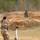 6th Brigade Army ROTC Ranger Challenge | 2024 6th Brigade Army ROTC Ranger Challenge | 2024