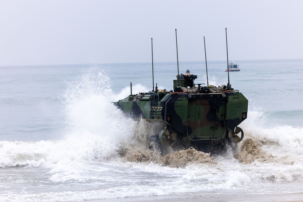 DVIDS - Images - ACVs Conduct Amphibious Raid During RUT [Image 1 of 6]