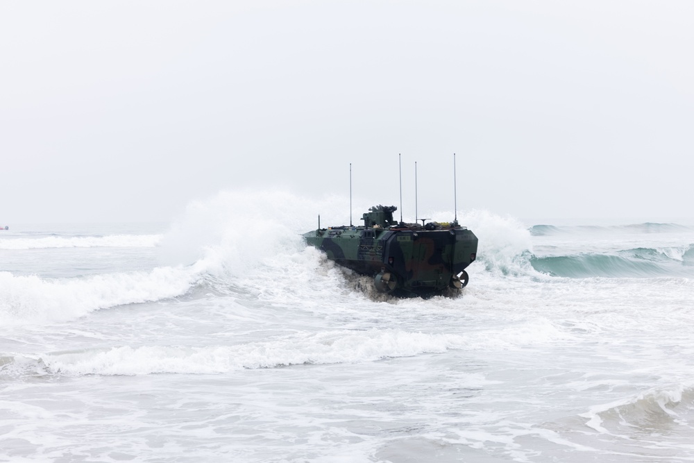 ACVs Conduct Amphibious Raid During RUT