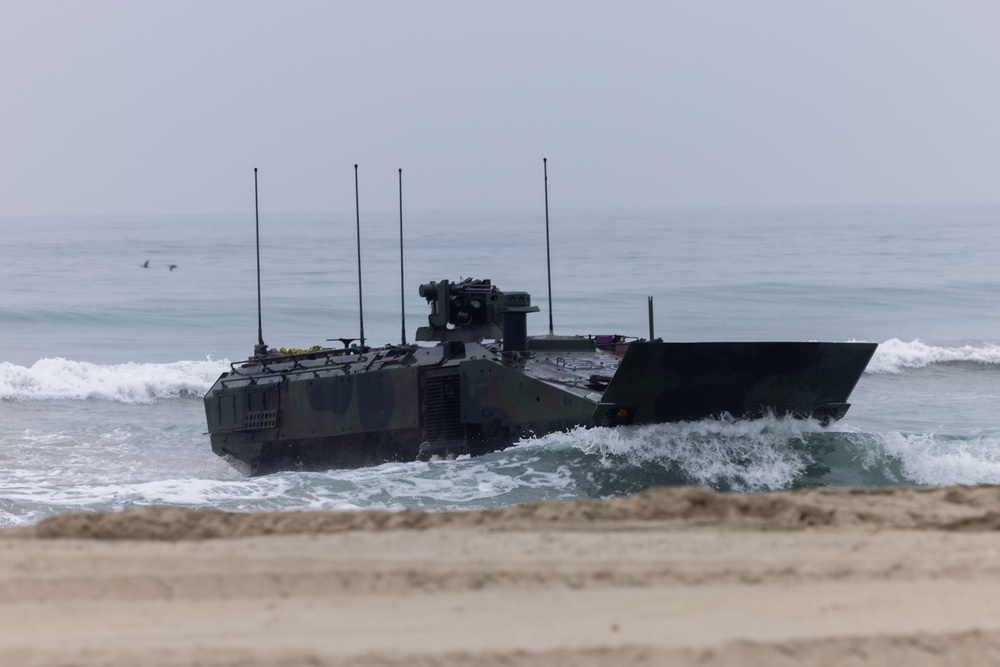 ACVs Conduct Amphibious Raid During RUT