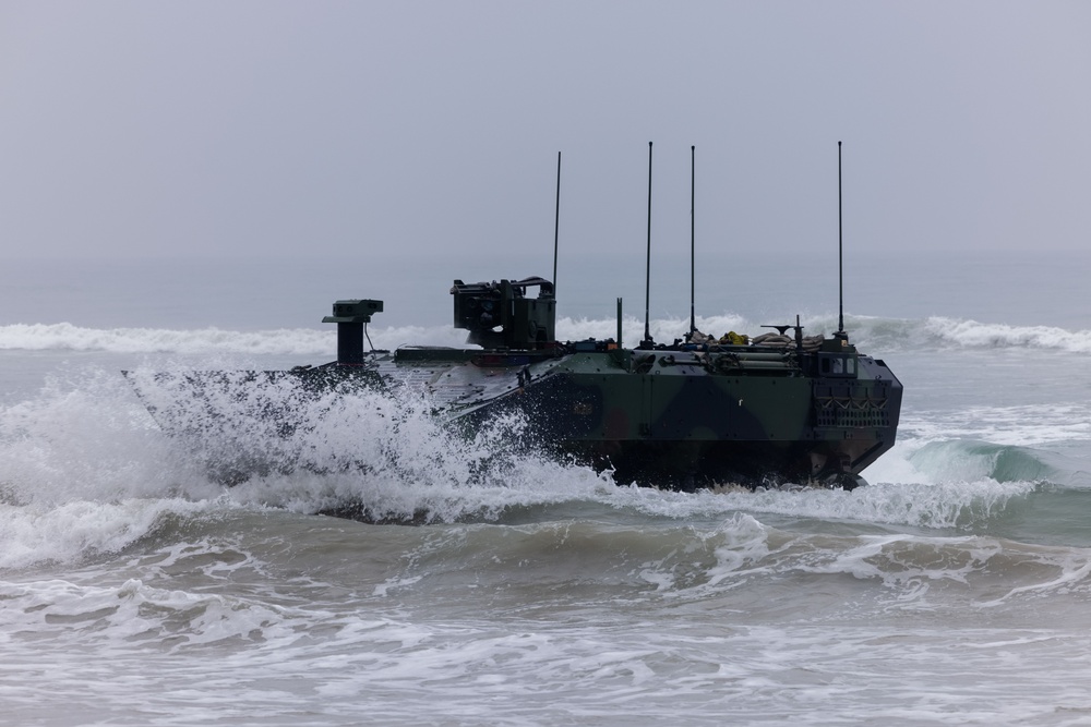 ACVs Conduct Amphibious Raid During RUT