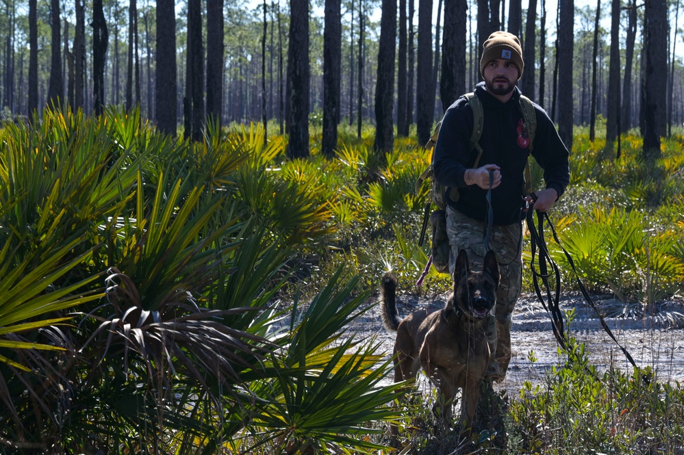 MWD explosive training