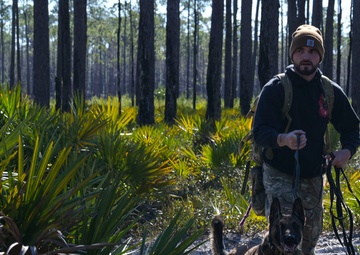 MWD explosive training