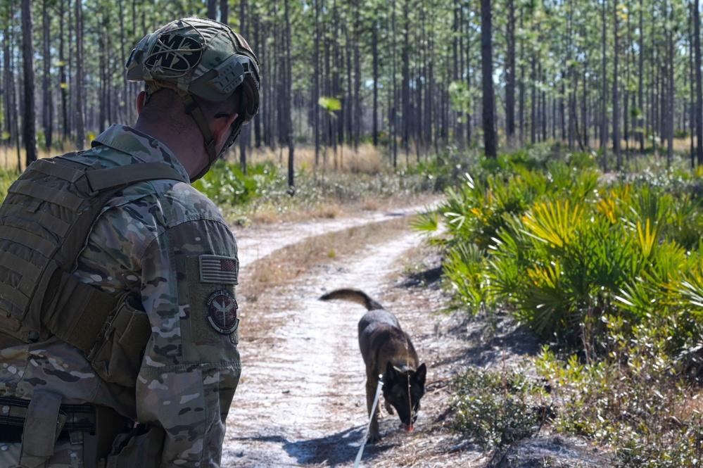 MWD explosive training