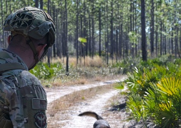 MWD explosive training