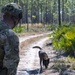 MWD explosive training